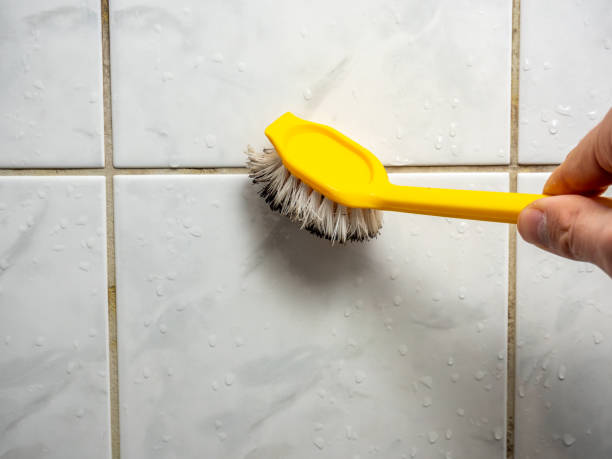 Best Basement Mold Remediation in Louisa, VA