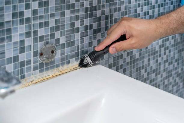 Best Post-Remediation Services in Louisa, VA