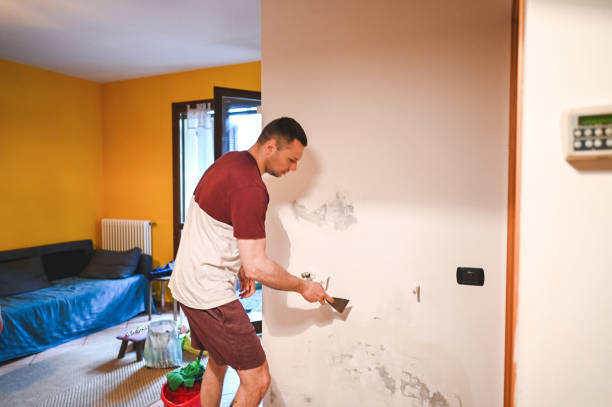 Best Mold Remediation for Specific Building Types in Louisa, VA