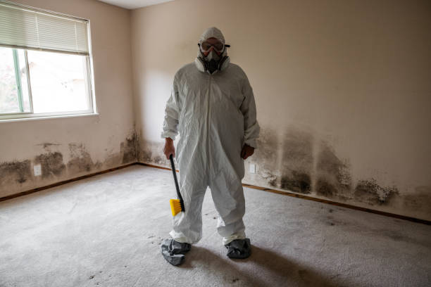 Best Crawl Space Mold Remediation in Louisa, VA
